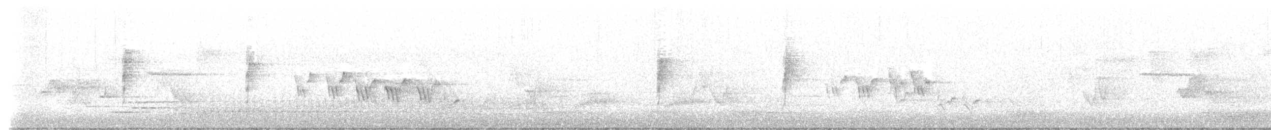 Mourning Warbler - ML636398392