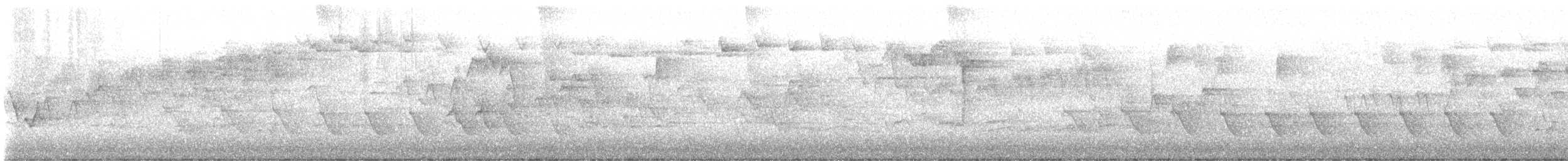 Mourning Warbler - ML636399247