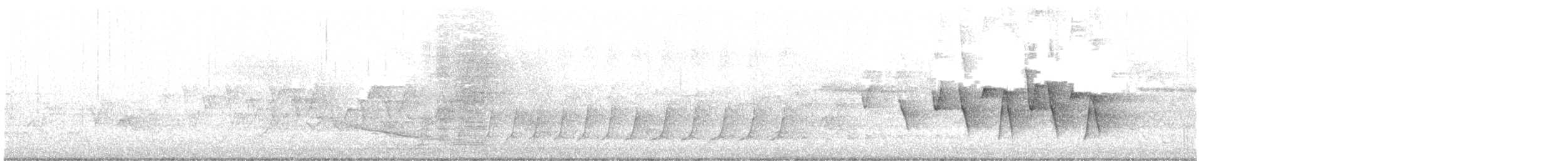 Connecticut Warbler - ML636400560