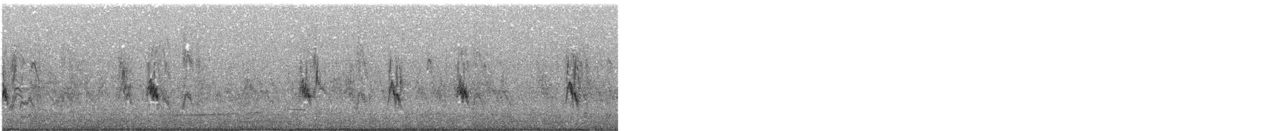 Himalayan Snowcock - ML636400562