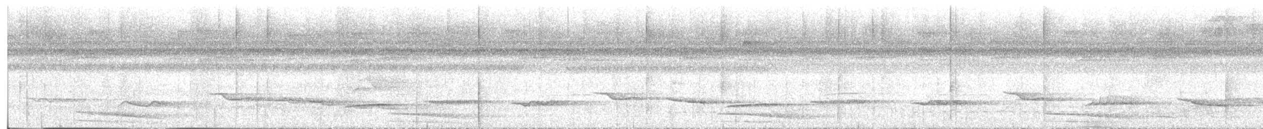 White-throated Thrush (Dagua) - ML636403012