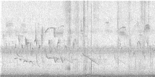 Painted Bunting - ML636405802