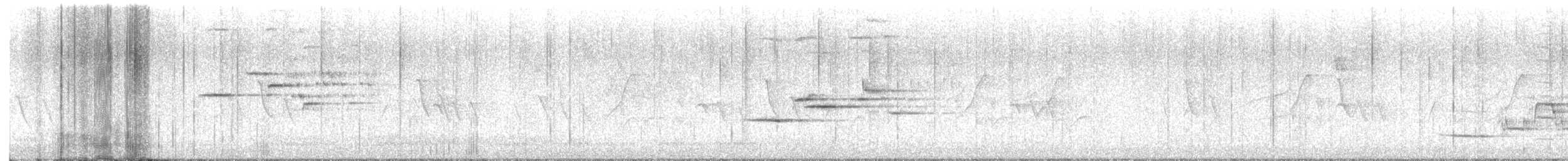 Hermit Thrush - ML636405868