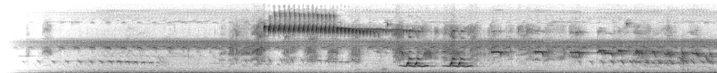 datlíček proužkobřichý - ML636410246