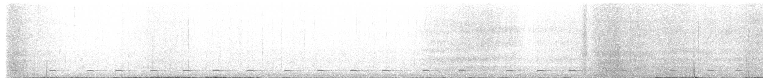 Sägekauz - ML636411303