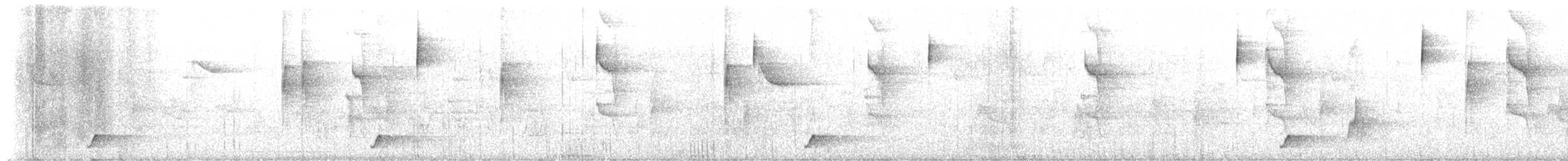 Short-tailed Antthrush - ML636412597