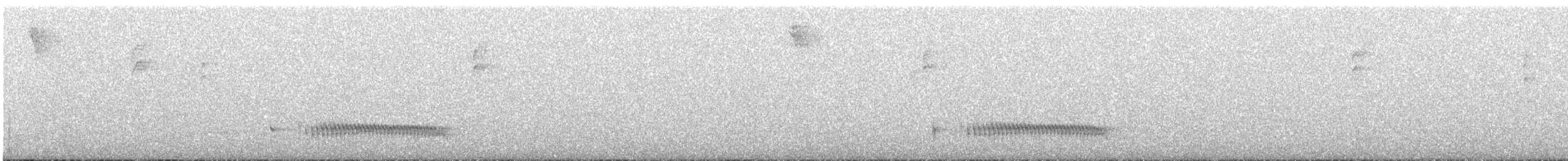 Panao Antpitta - ML636412658