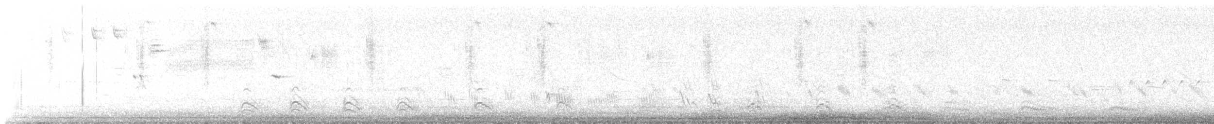 Ash-throated Flycatcher - ML636412879