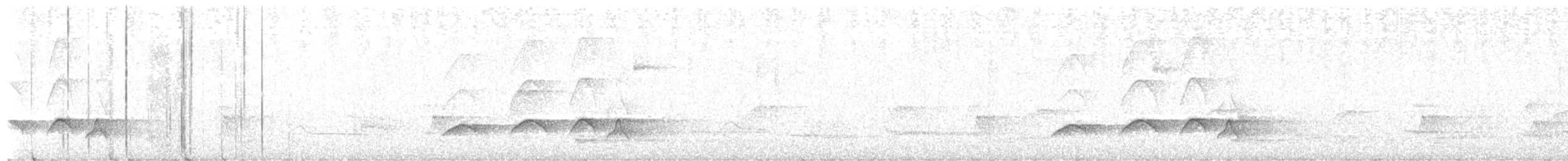 Rufous-tailed Attila - ML636413662