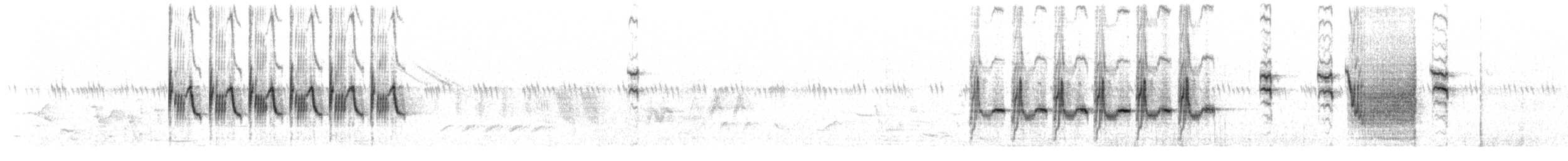 Rock Wren - ML636415673