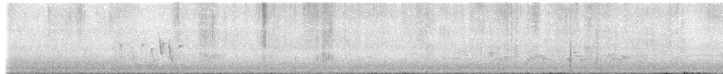 Connecticut Warbler - ML636418307