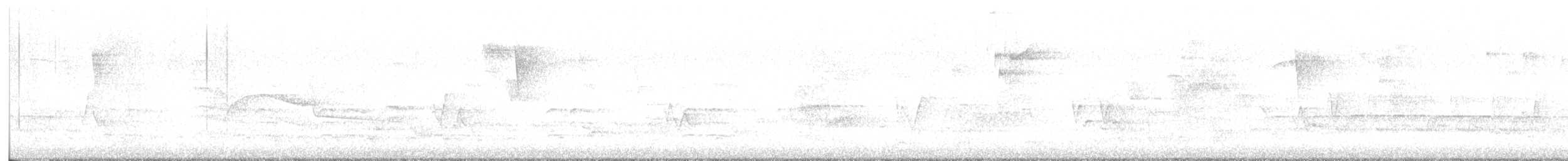 Eastern Wood-Pewee - ML636419088