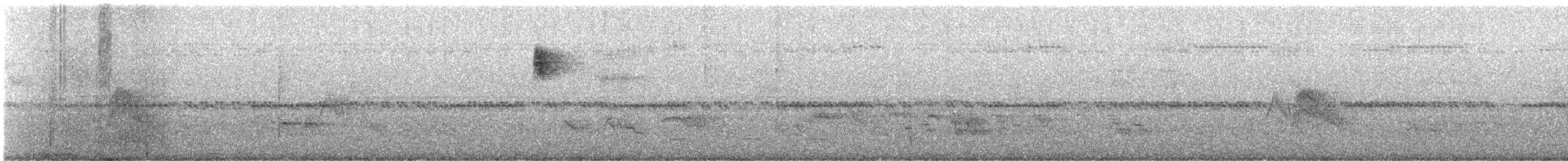 Short-tailed Antthrush - ML636419405
