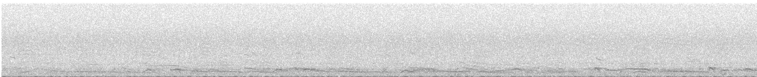 buřňák severní - ML636419638