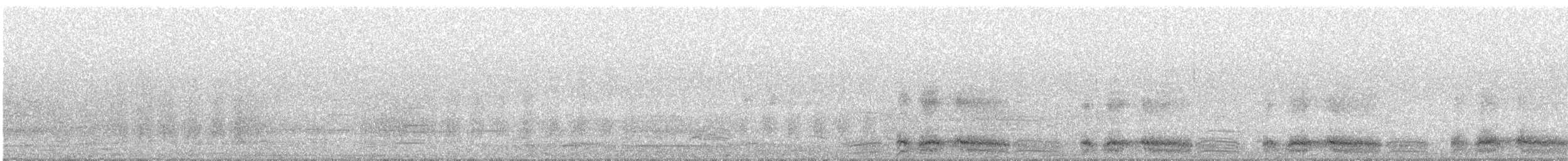 buřňák severní - ML636419658
