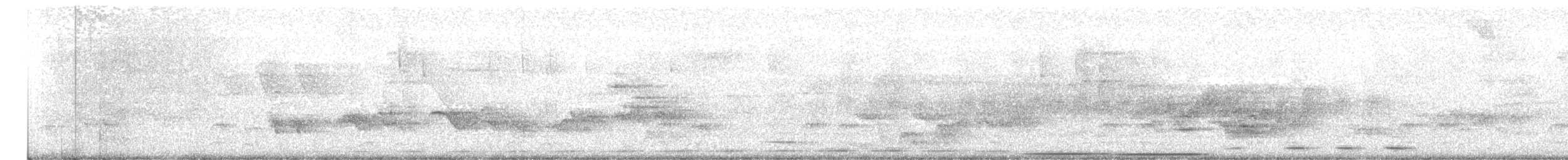 Short-tailed Antthrush - ML636420821