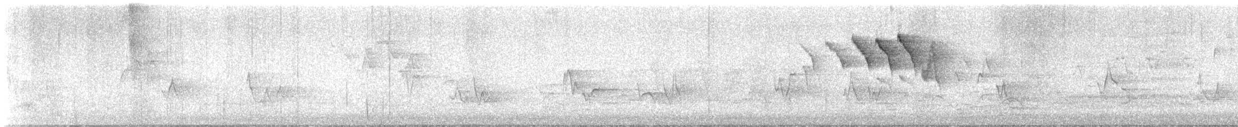 lesňáček lejsčí - ML636423032