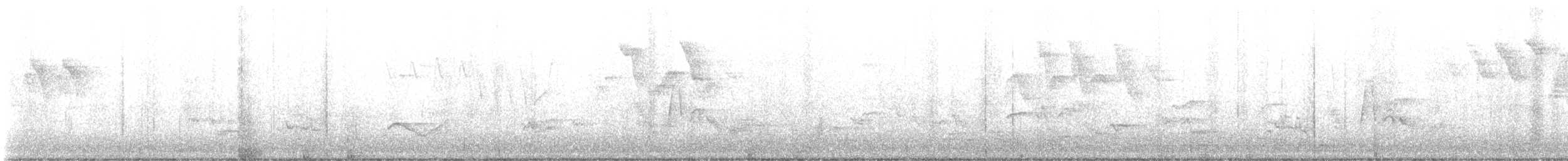 White-eyed Vireo - ML636423983
