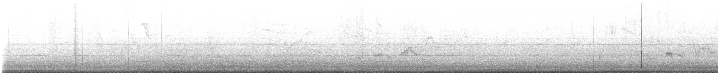 Swainson's Thrush - ML636424064