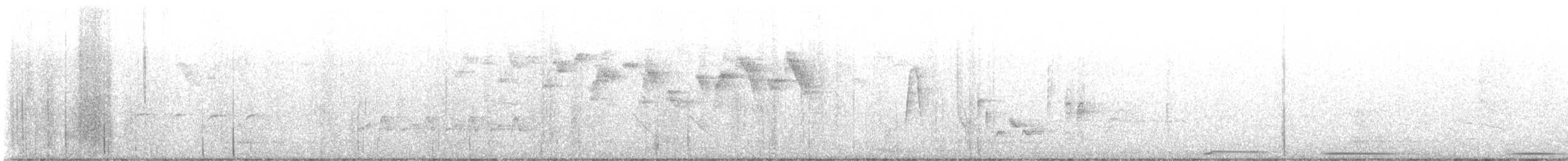 Black-and-white Warbler - ML636427365
