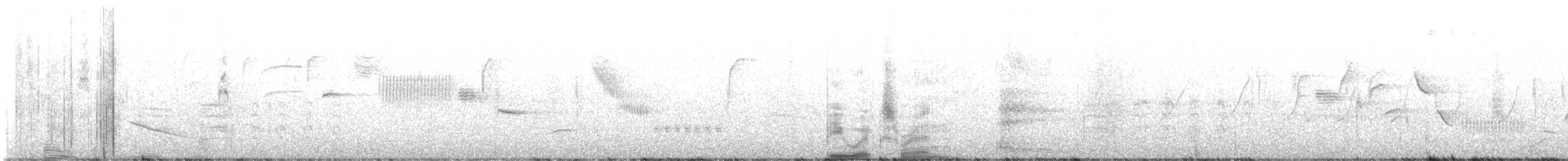 Bewick's Wren - ML636427694