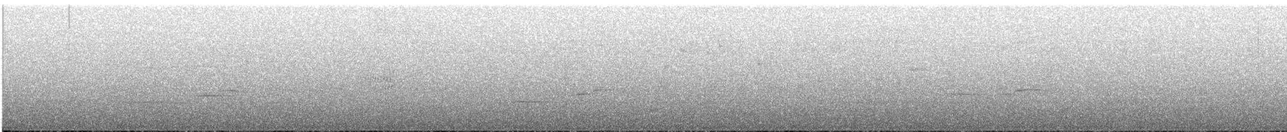 Slaty-backed Nightingale-Thrush - ML636434964