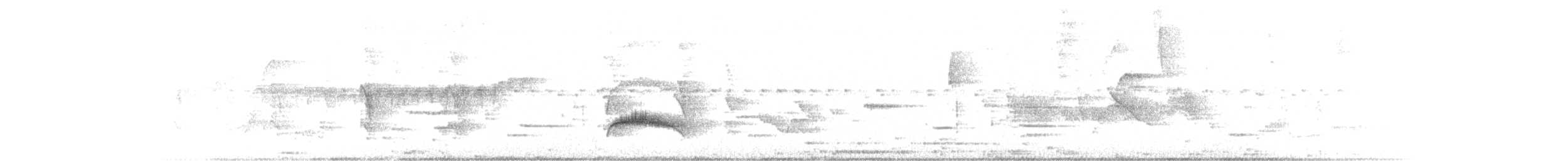 Yellow-bellied Elaenia - ML636435406