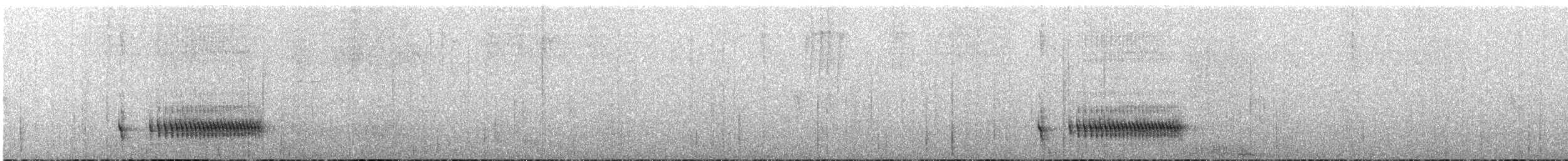 Panao Antpitta - ML636435448