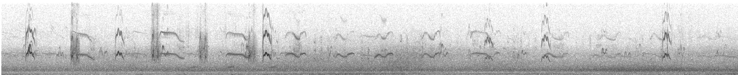 Aleutian Tern - ML636436089
