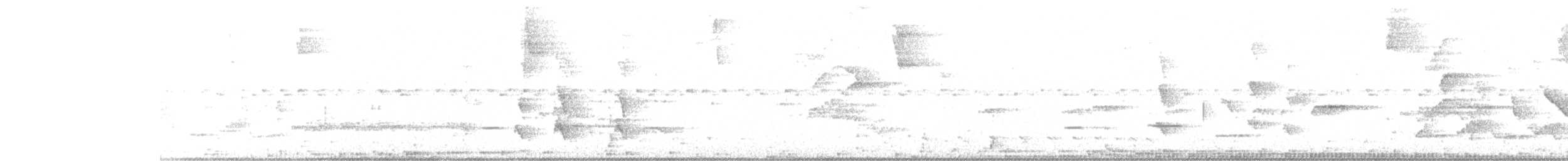 Géocoucou tacheté - ML636436285