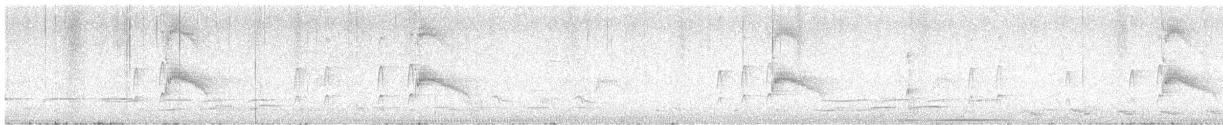 Couch's Kingbird - ML636439081