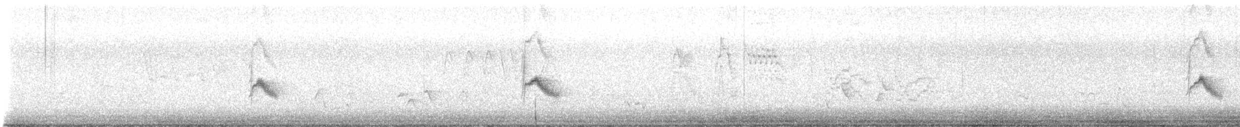 Bicknellmusendrossel - ML636440317