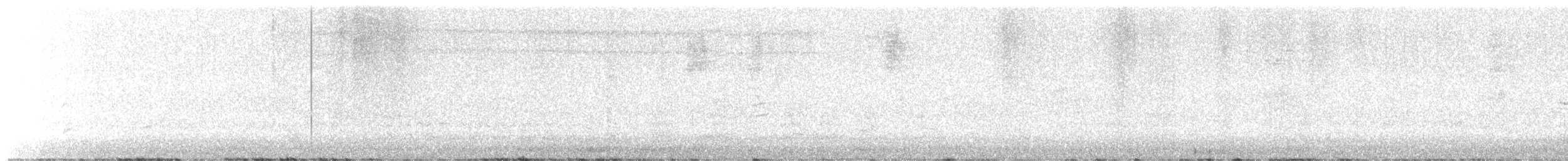 Western Warbling Vireo - ML636441020