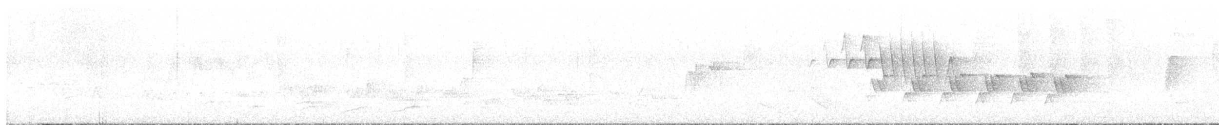 Kentucky Warbler - ML636442709