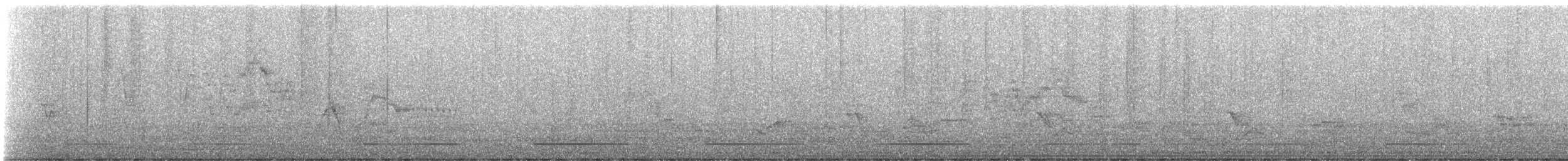Gray-cheeked Thrush - ML636443023