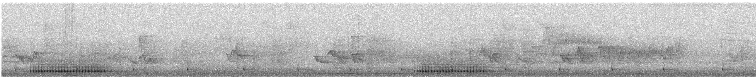 Hairy Woodpecker - ML636443956