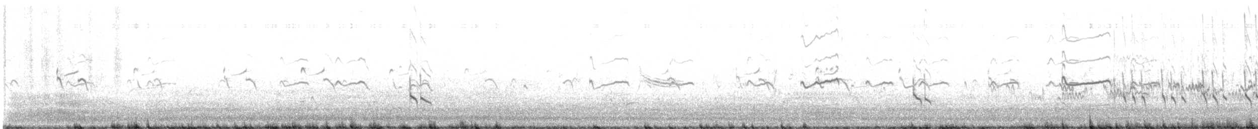 slukovec krátkozobý - ML636444506