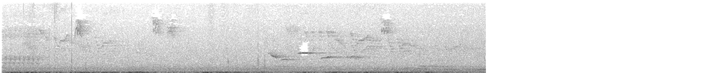 Bicknell's Thrush - ML636445331