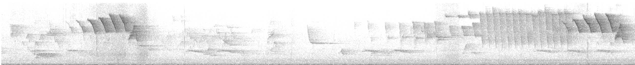 Tennessee Warbler - ML636445470