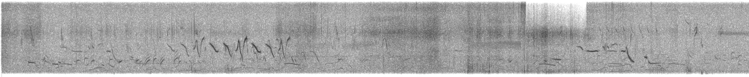 Common Yellowthroat - ML636446869