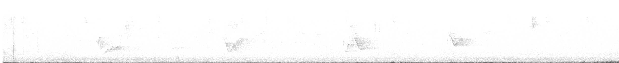 Cassin's Vireo - ML636448086