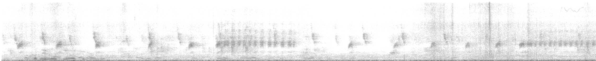 Tiger Shrike - ML636448472
