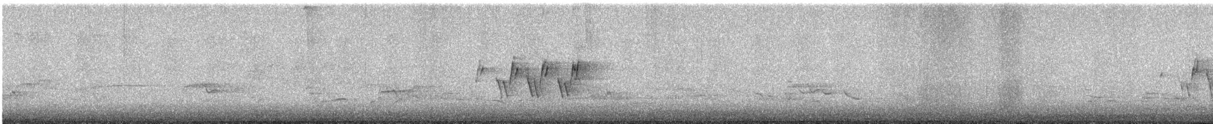 Mourning Warbler - ML636448744