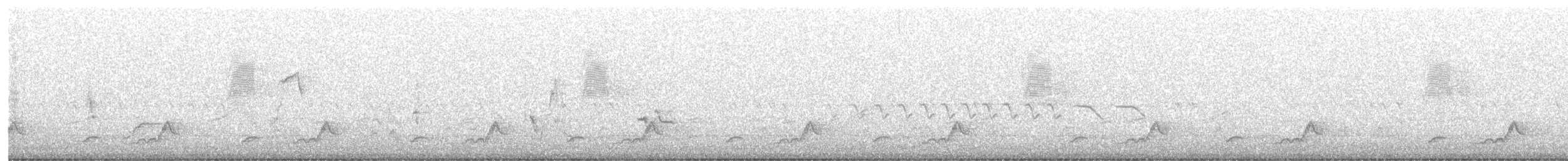 Eastern Whip-poor-will - ML636448767