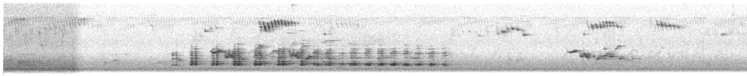 オーストラリアヘビウ - ML636448835