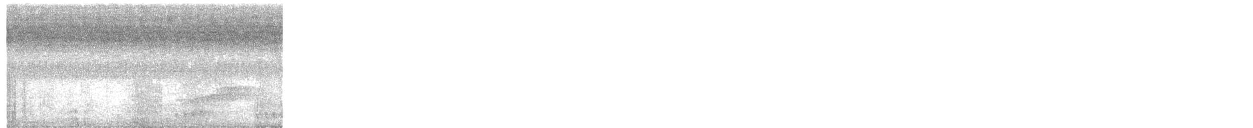 Banded Broadbill (Javan) - ML636451994