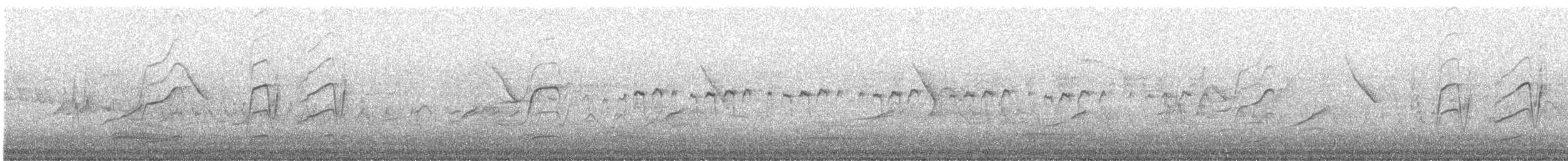 čejka chocholatá - ML636455020