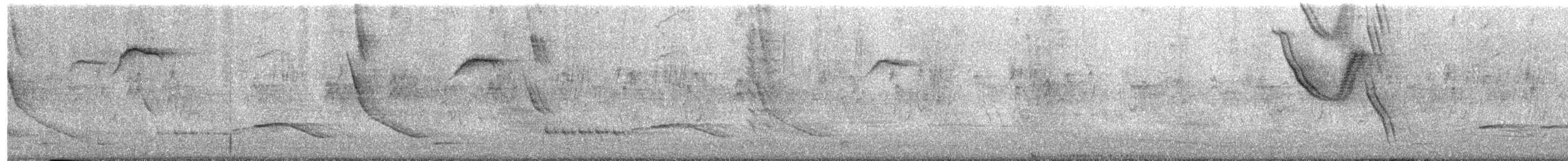 Storno nero - ML636455348