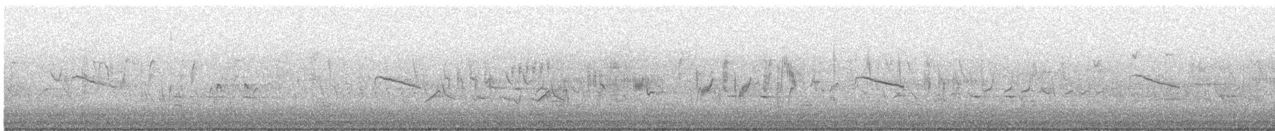 čížek lesní - ML636455972