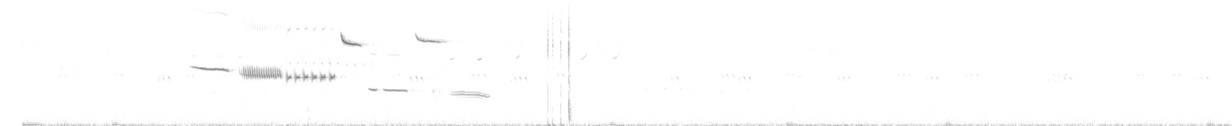 Cassin's Sparrow - ML636456480